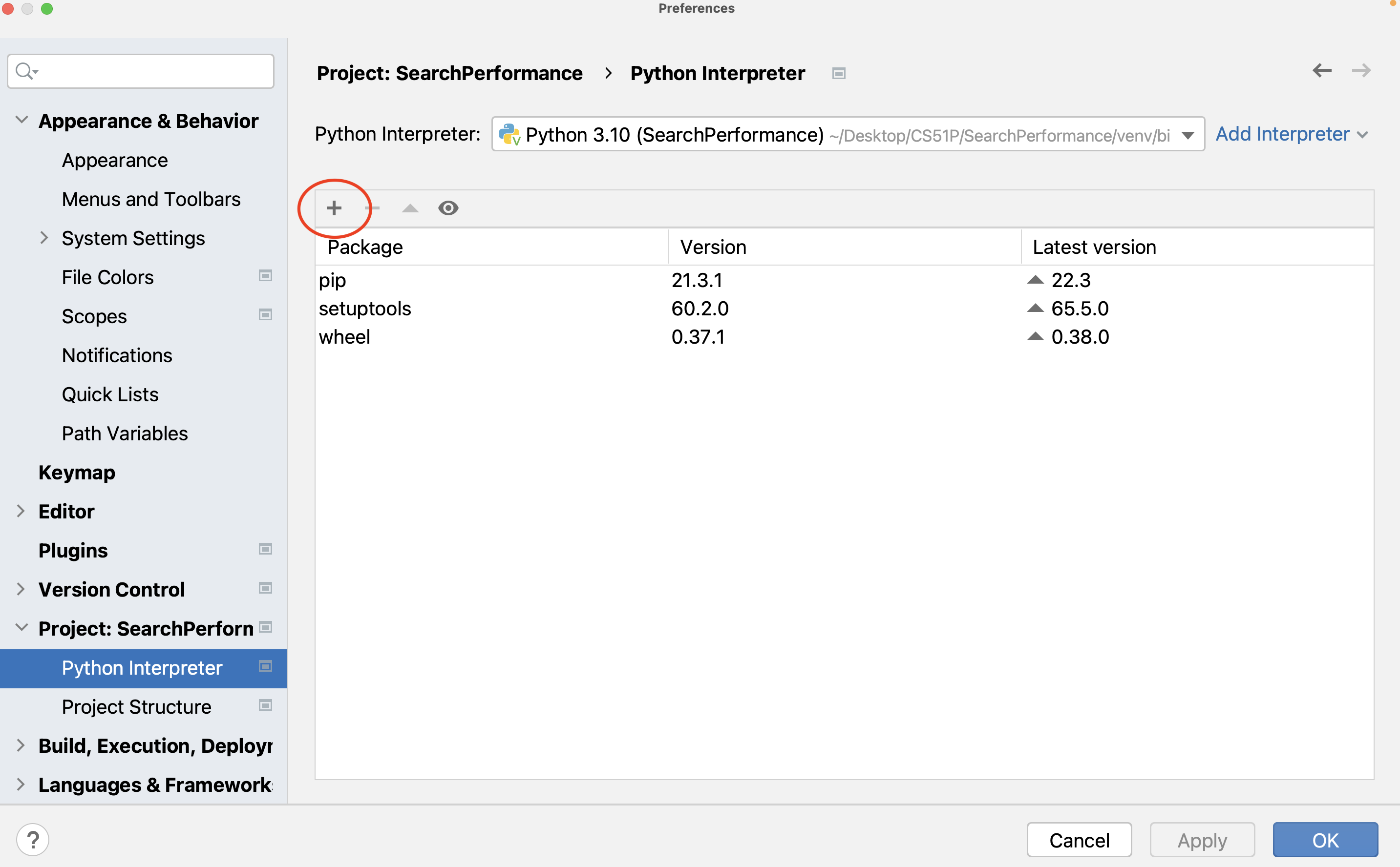 PyCharm interpreter preferences
