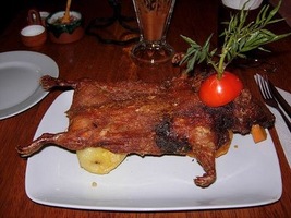 Guinea pig in Peru